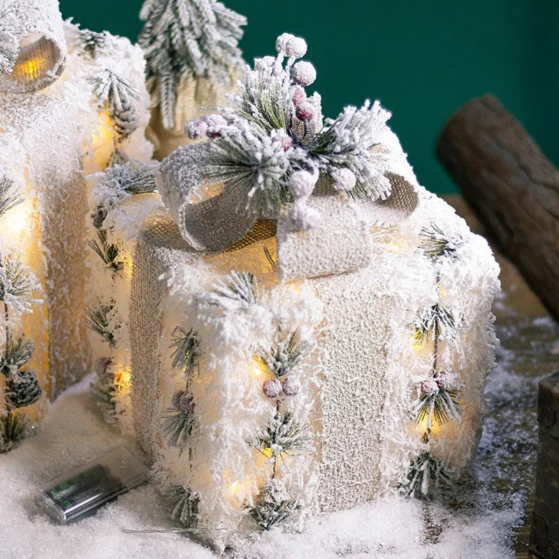 Christmas lights and 3 gift boxes to delight your home!